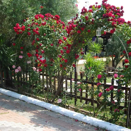 Asteris Village-3